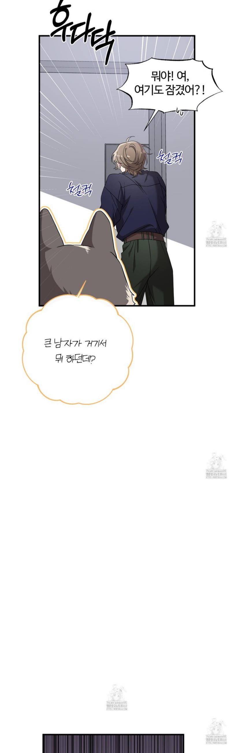 017.jpg