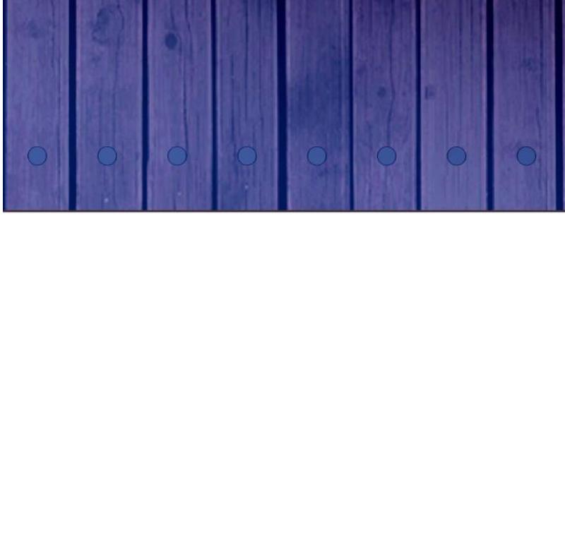 085.jpg