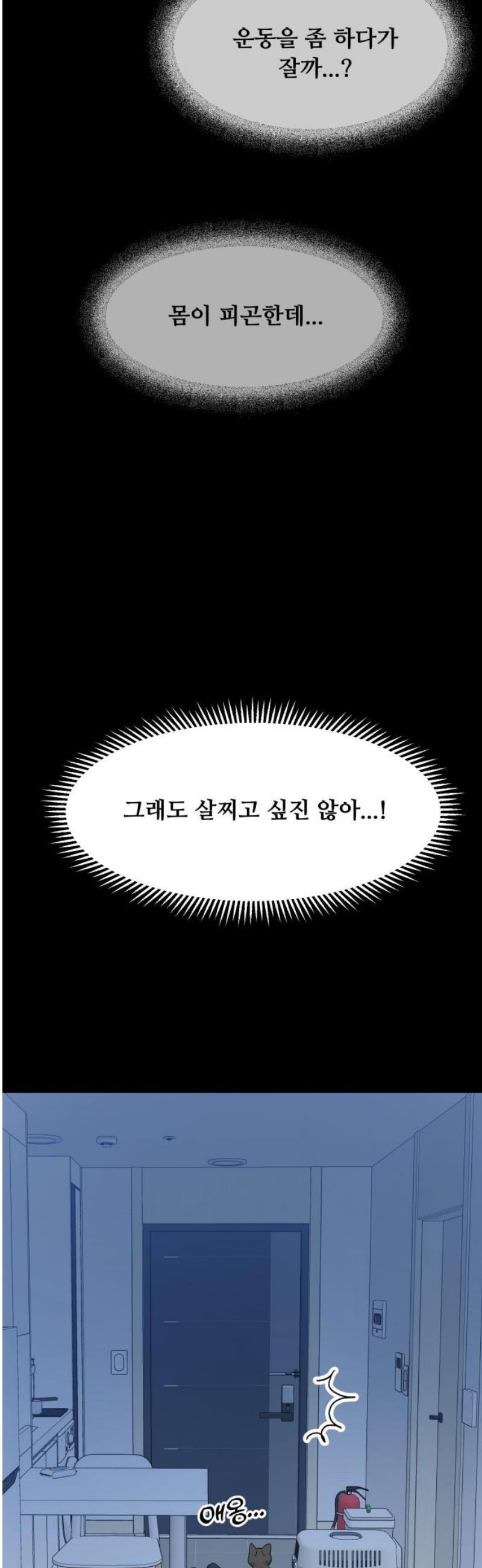 003.jpg
