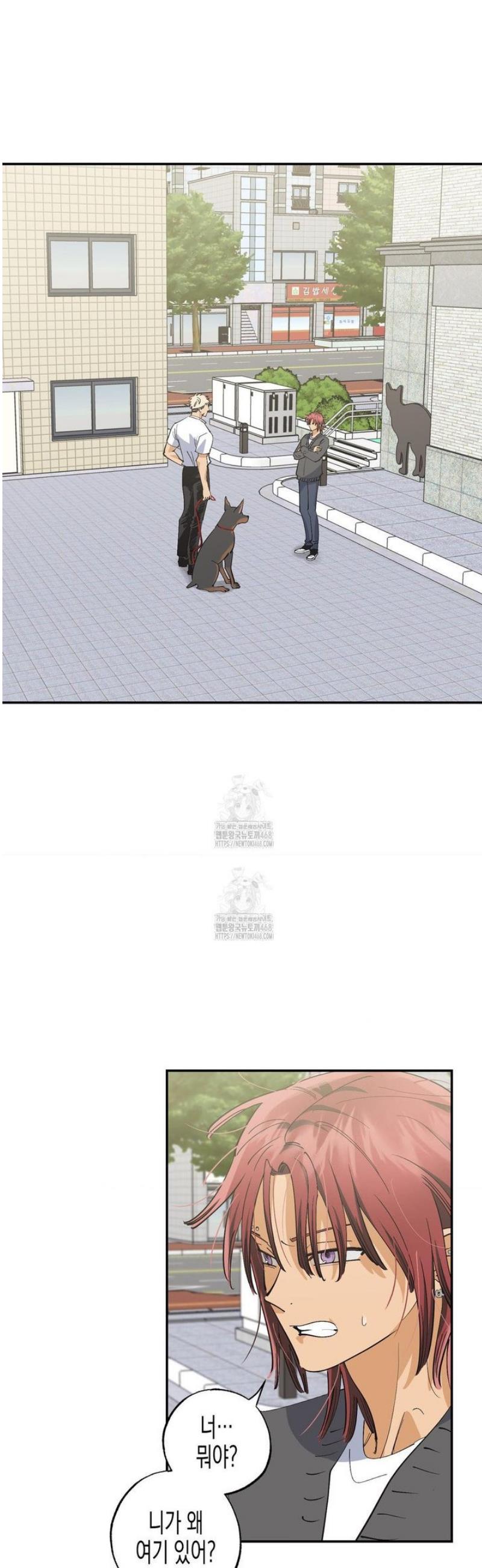 004.jpg