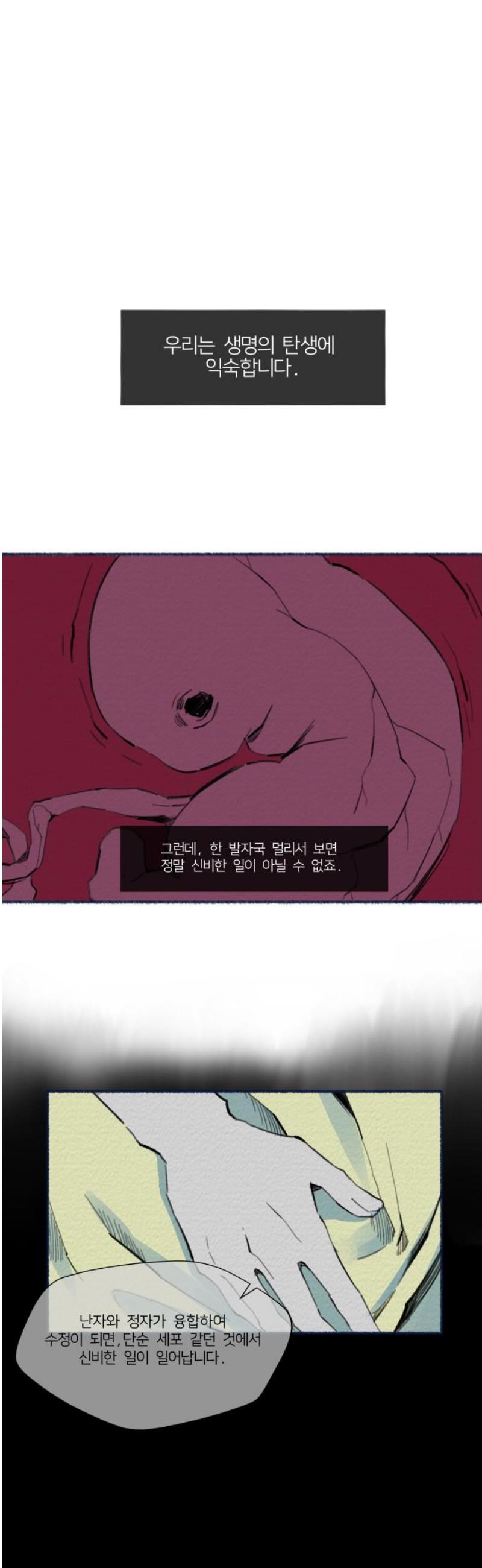 010.jpg