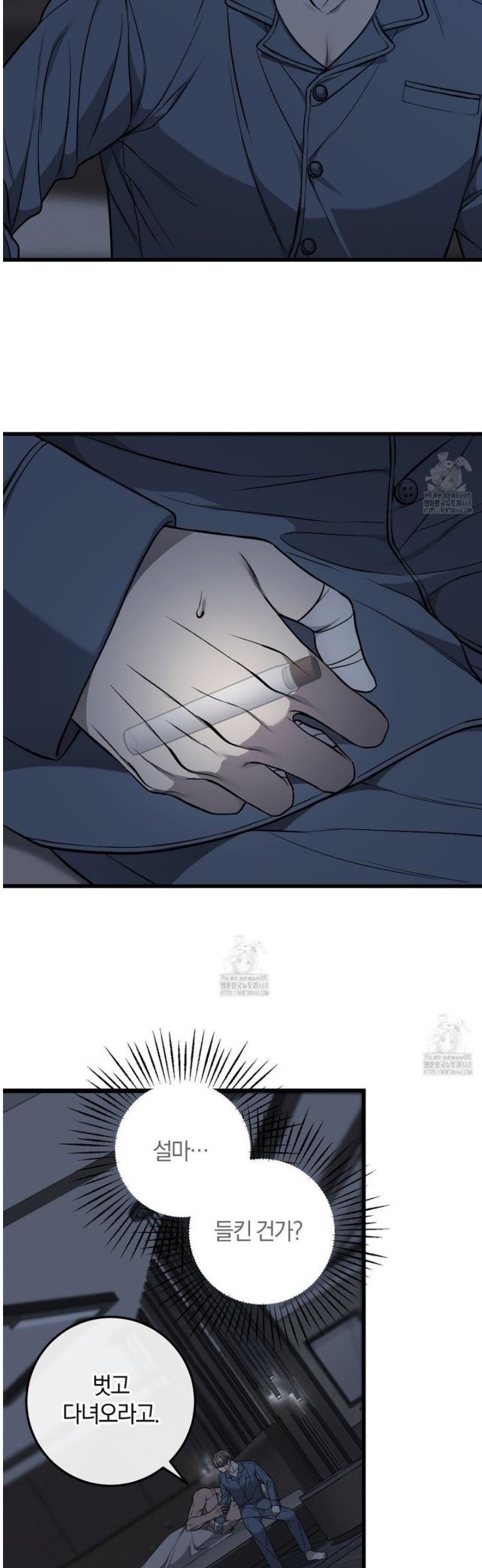 005.jpg