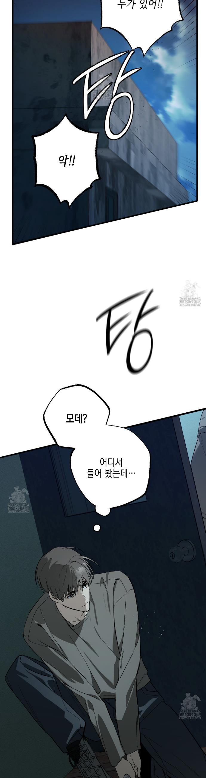 006.jpg