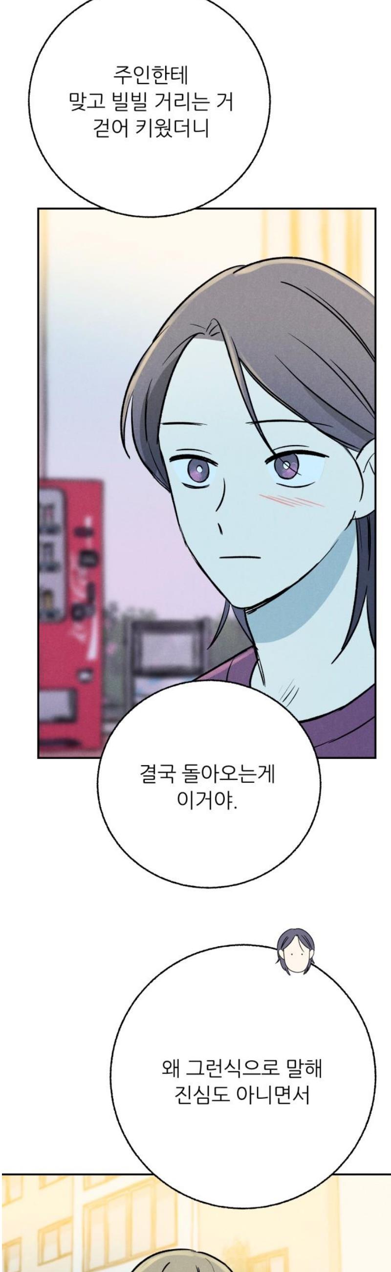 006.jpg