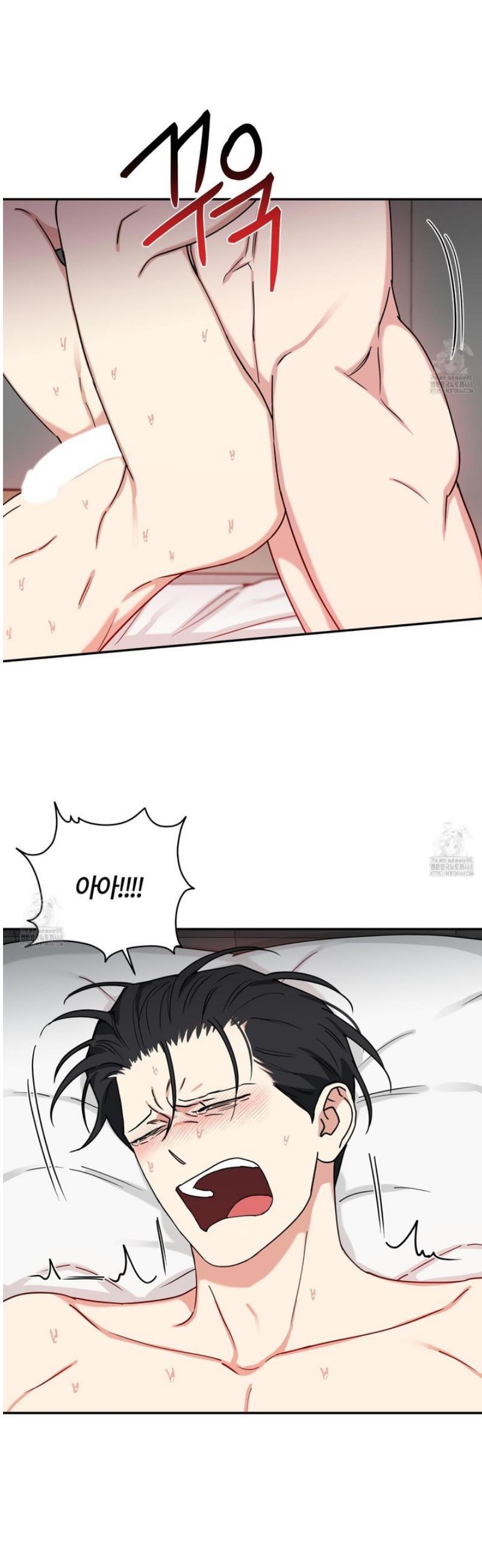 006.jpg