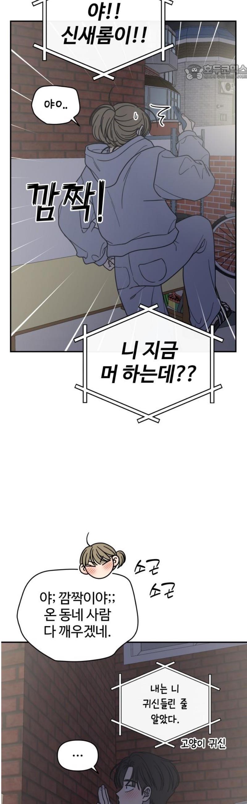 007.jpg