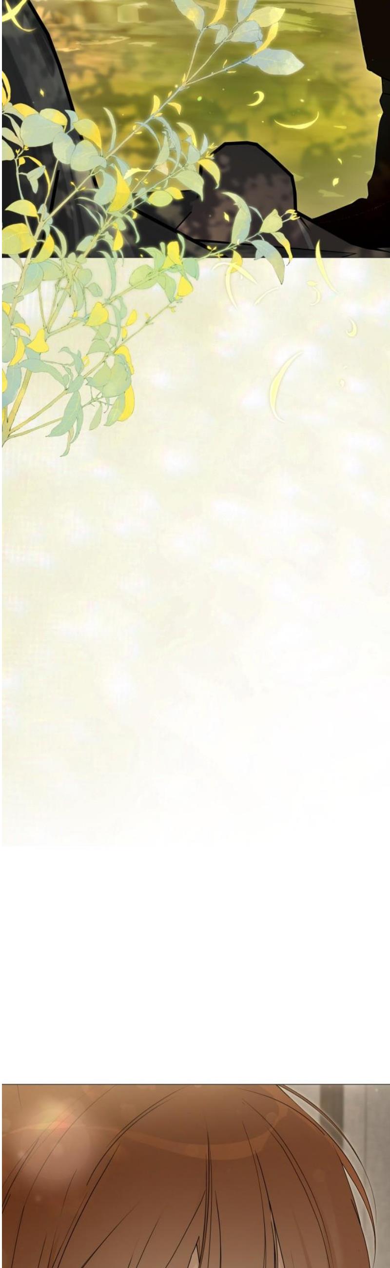 008.jpg