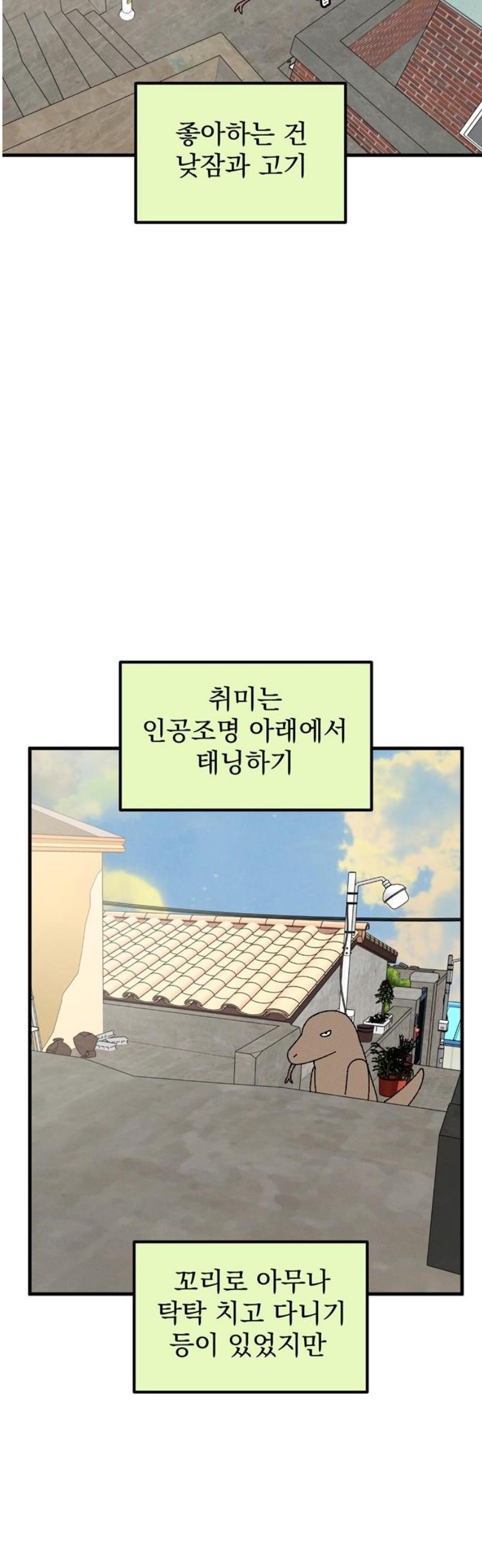 003.jpg