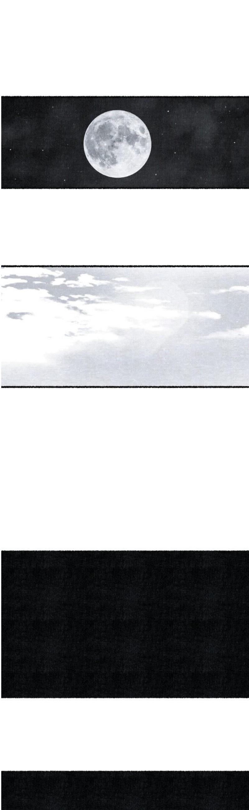 031.jpg