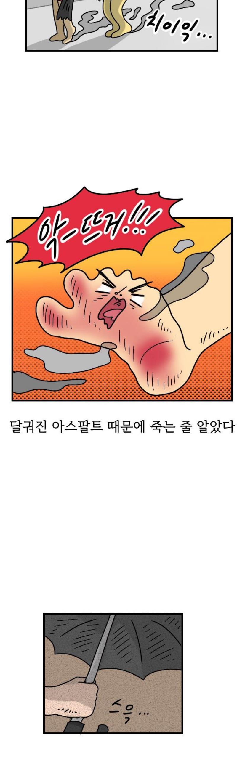 008.jpg
