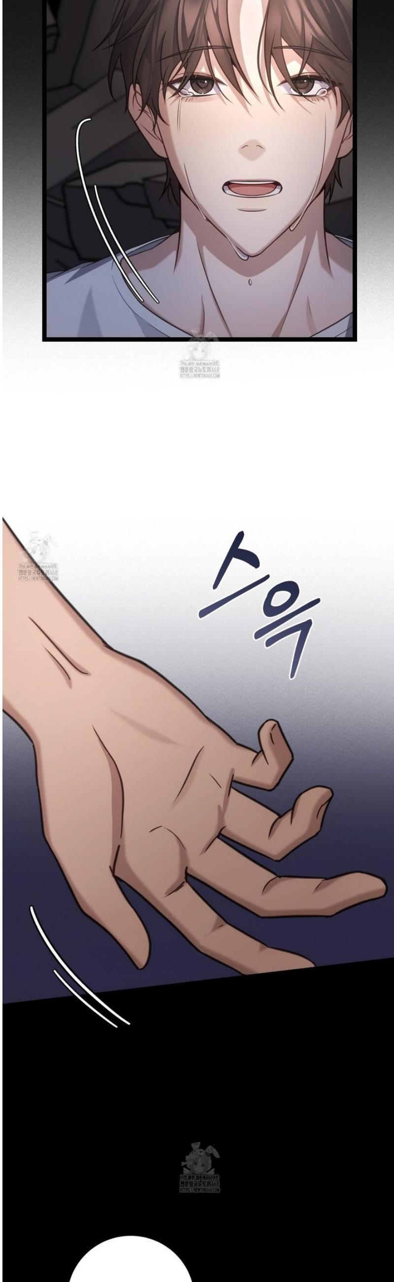 008.jpg