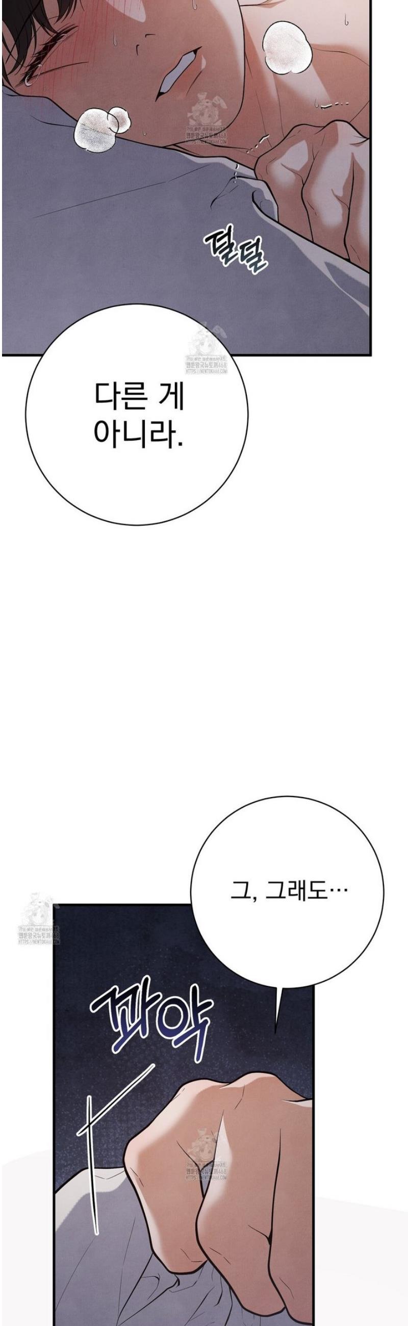 008.jpg