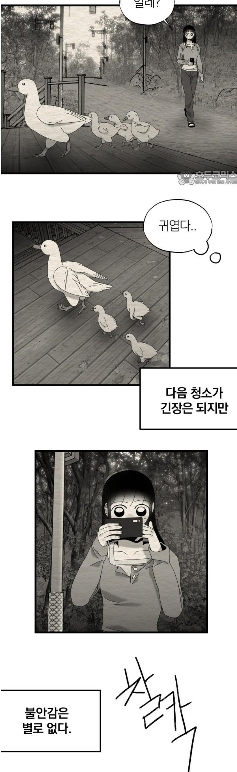 009.jpg