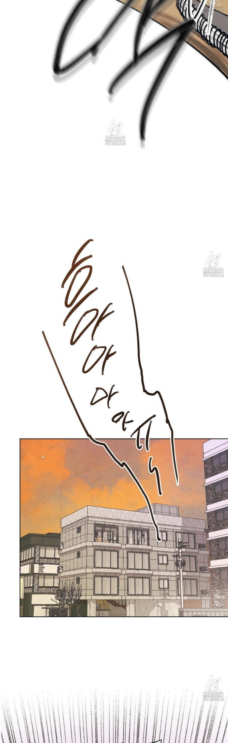 009.jpg