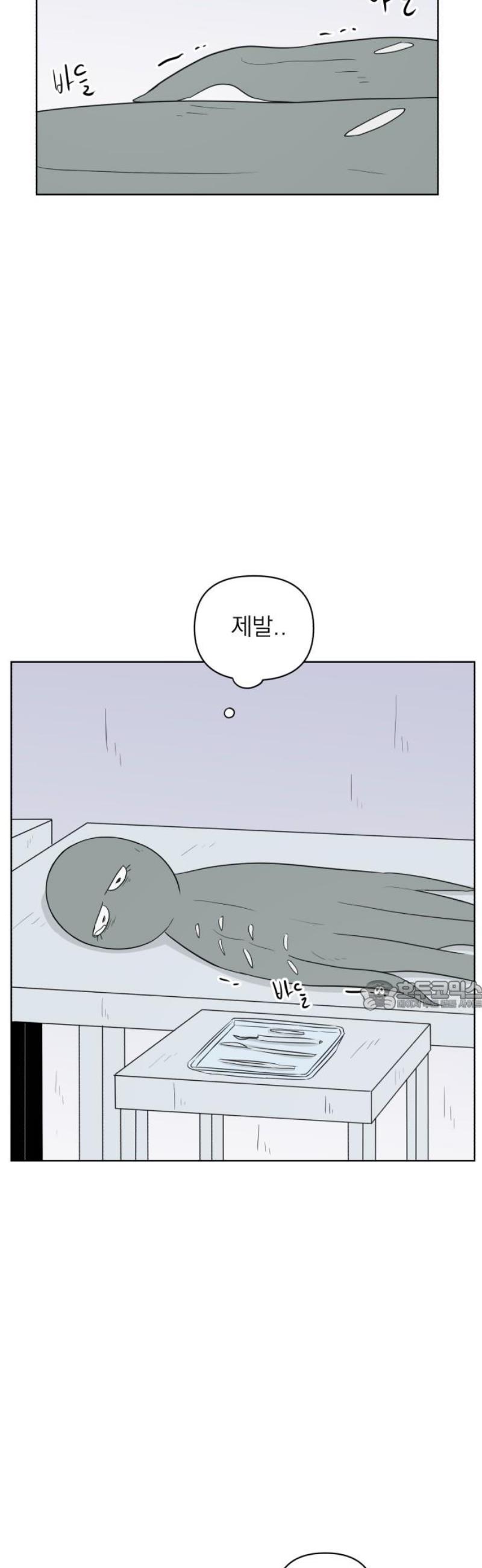 030.jpg