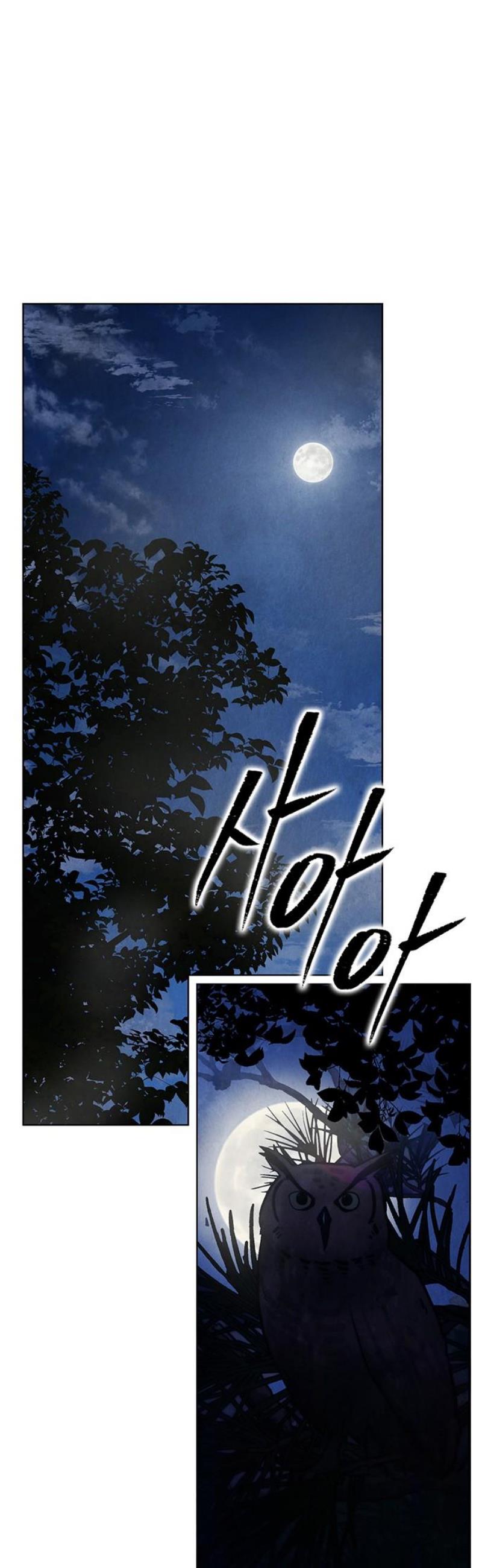 008.jpg