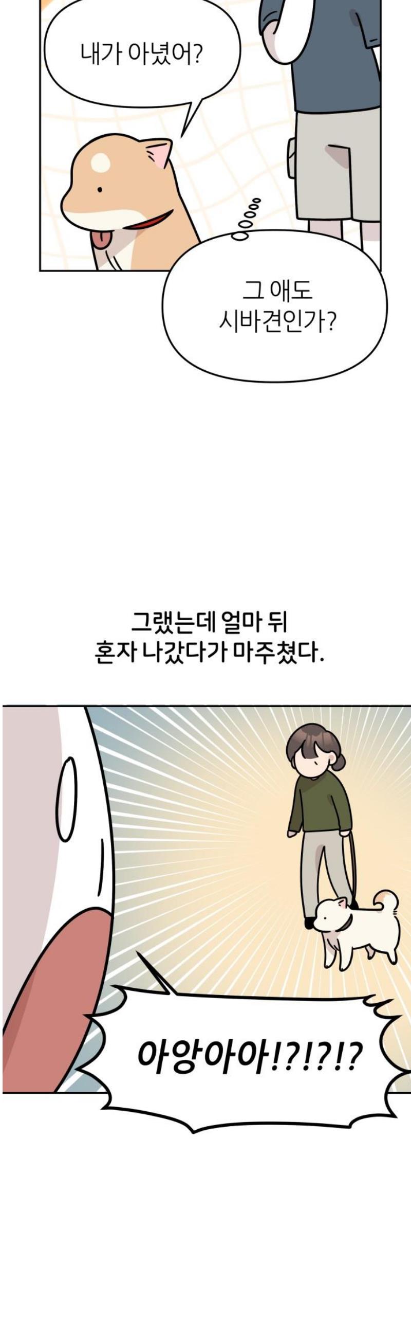 008.jpg