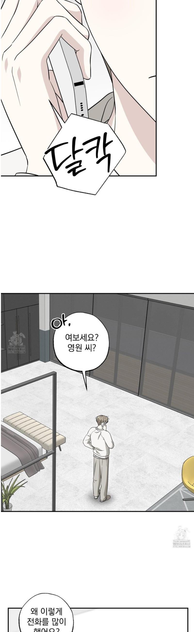 010.jpg