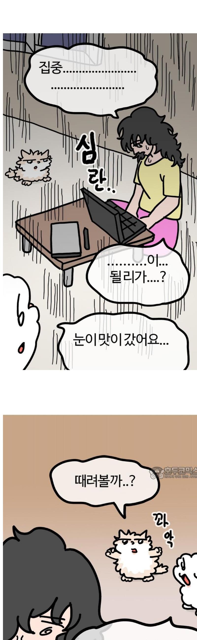010.jpg