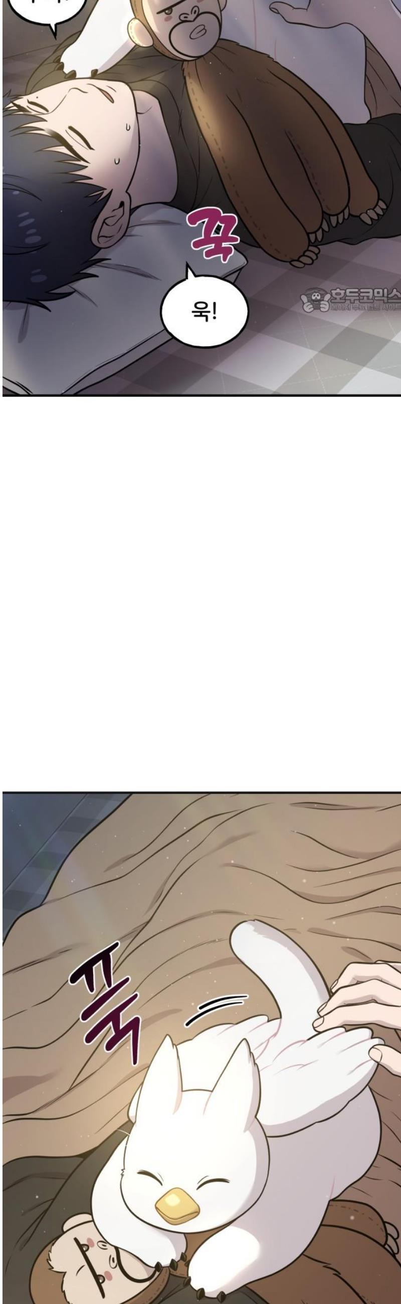 009.jpg