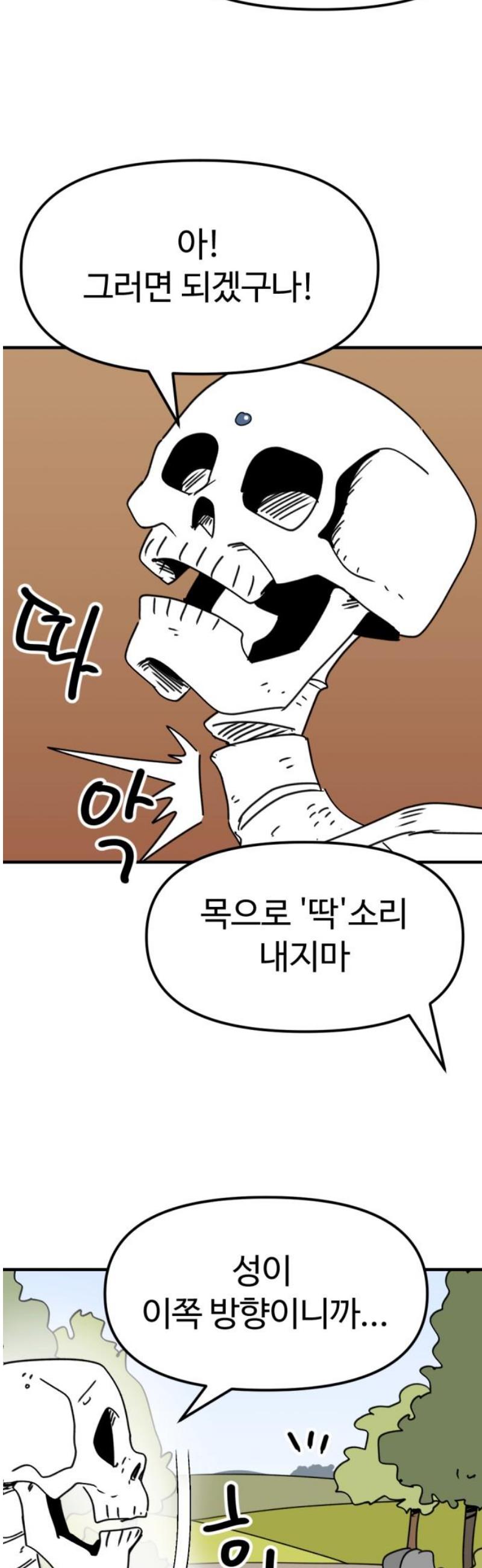 003.jpg