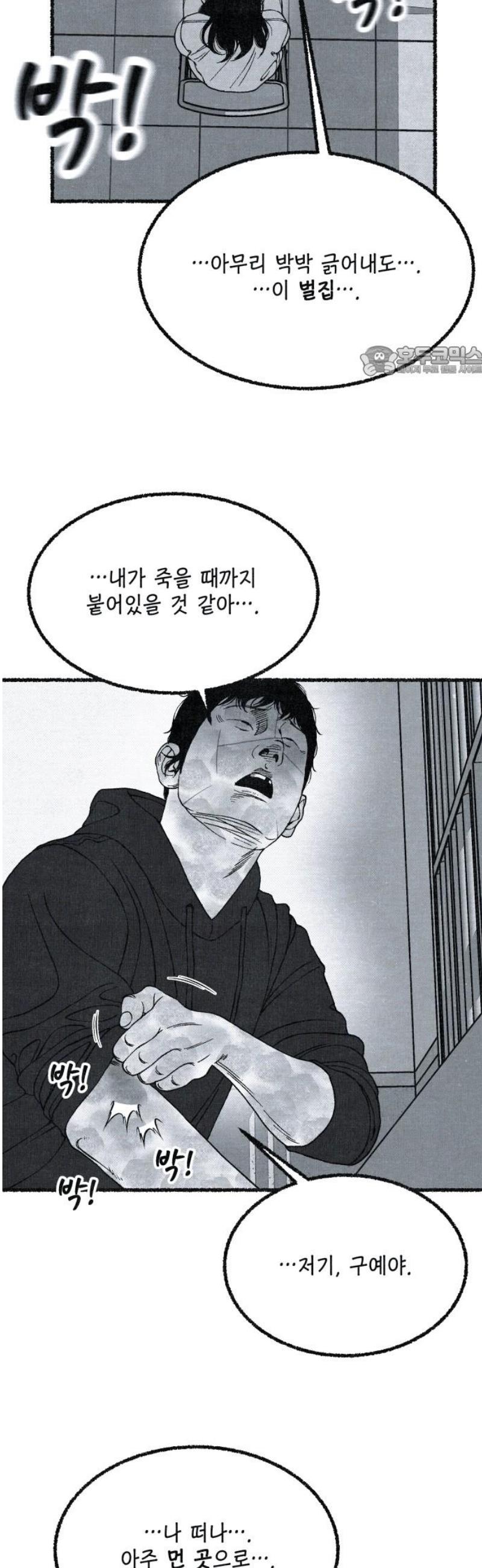 009.jpg