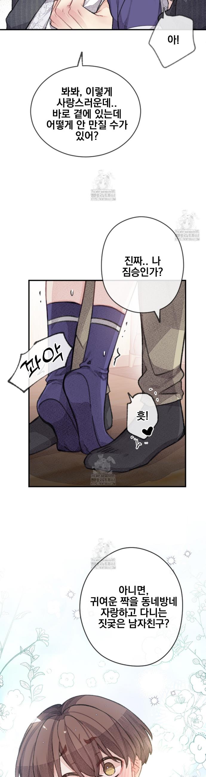 004.jpg