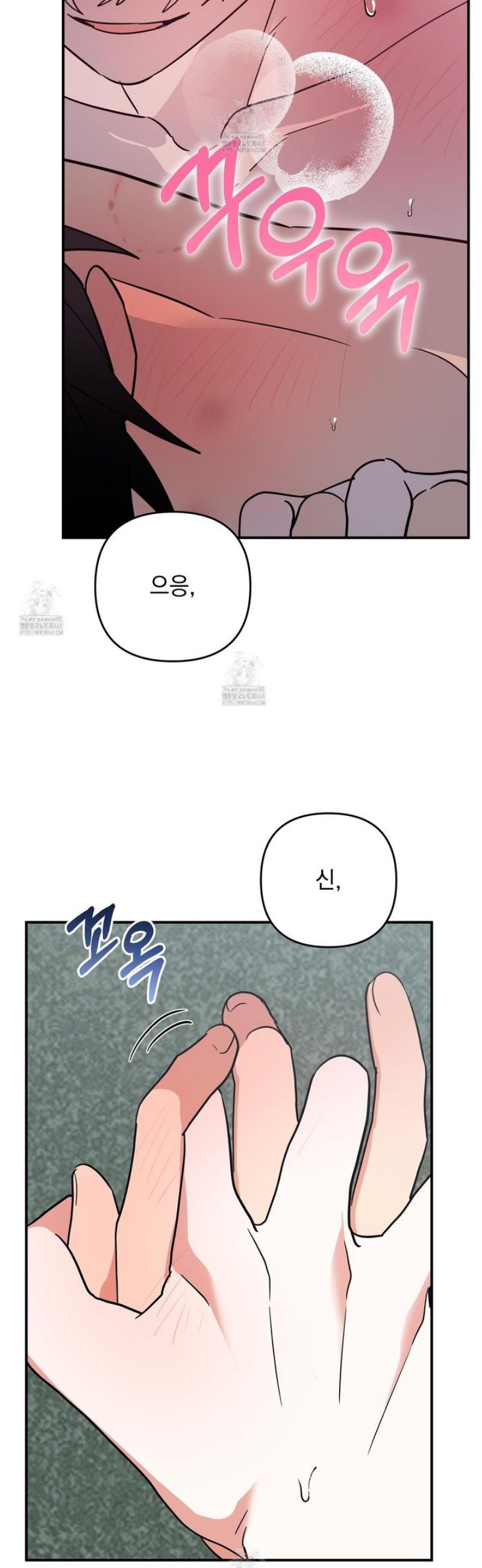 008.jpg
