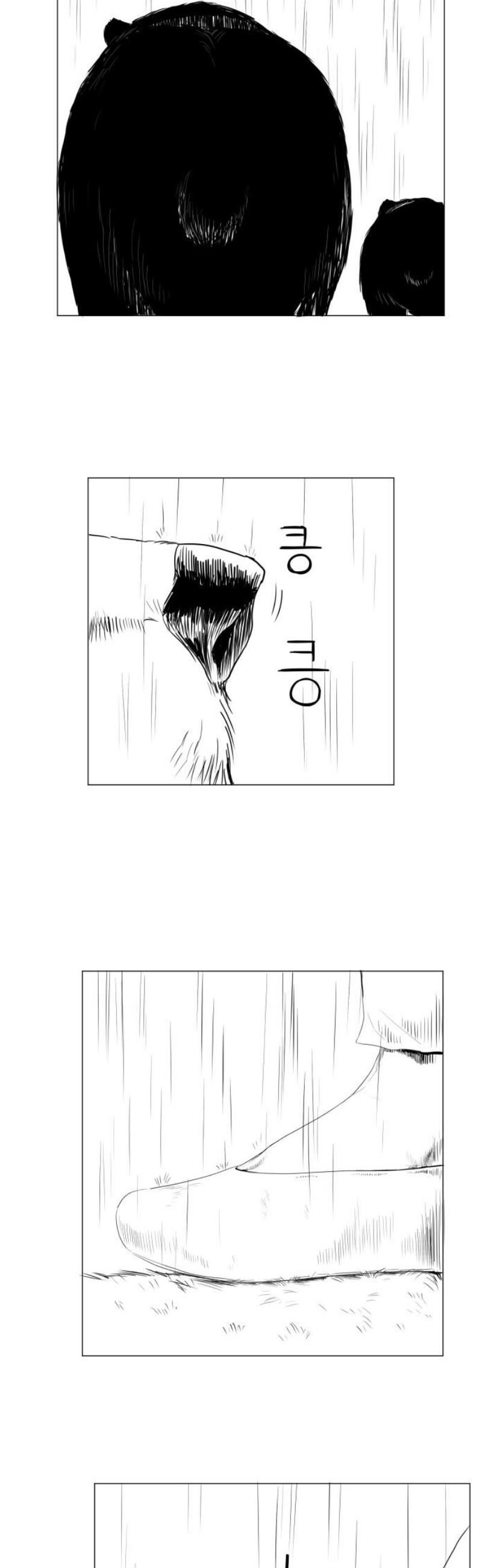 003.jpg