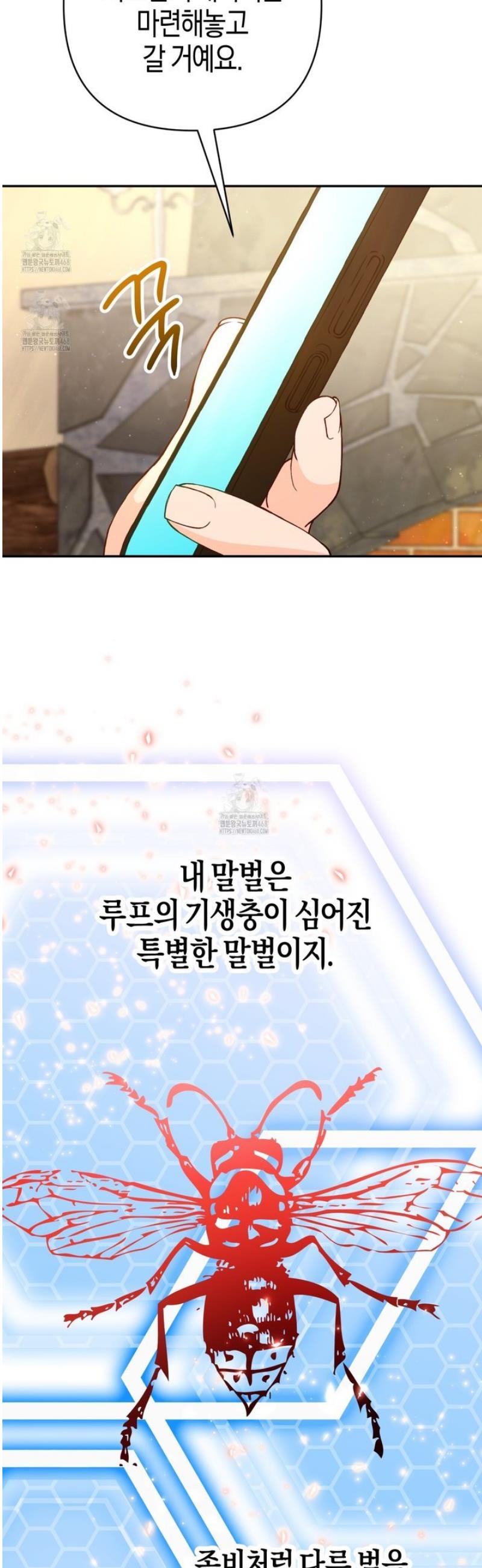 003.jpg