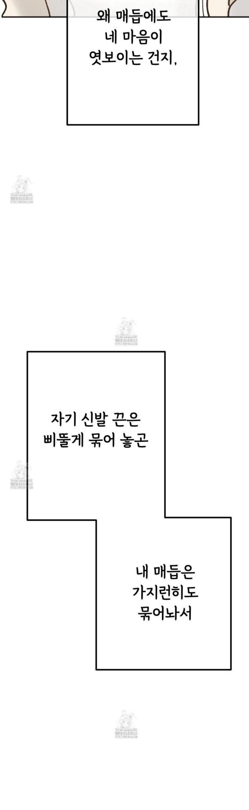 006.jpg