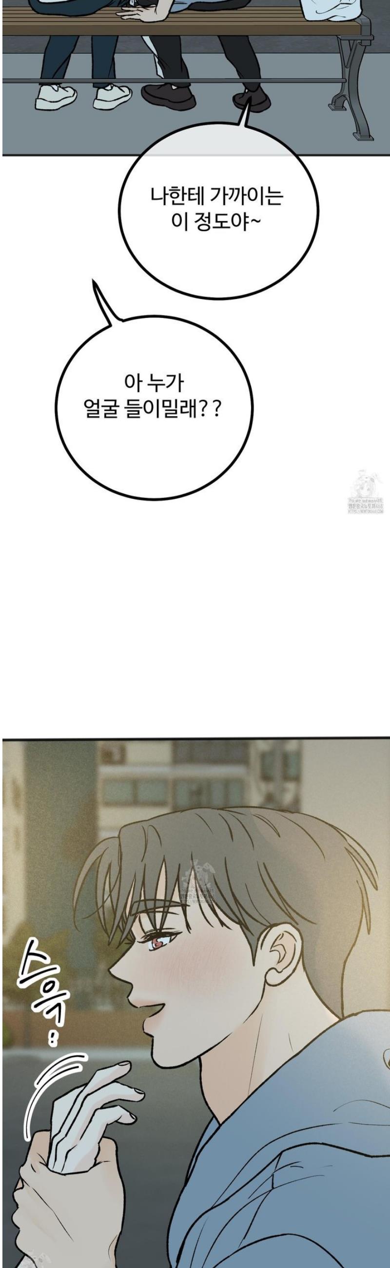 008.jpg
