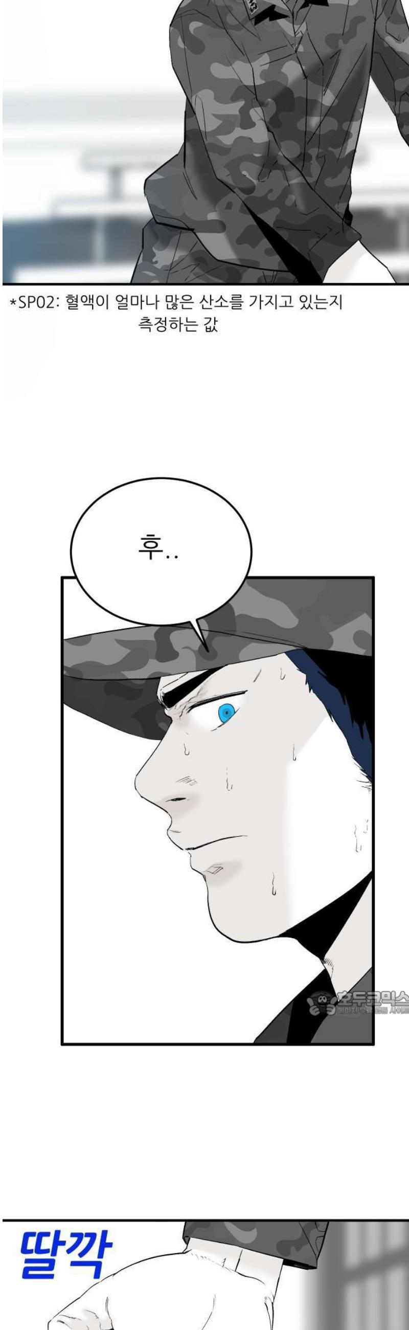 008.jpg