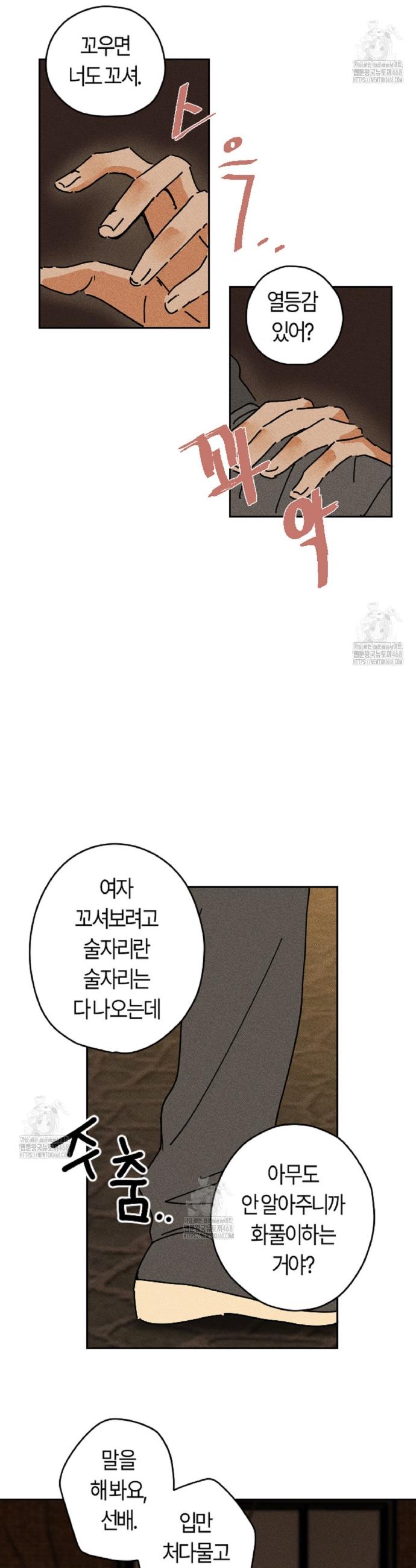 005.jpg