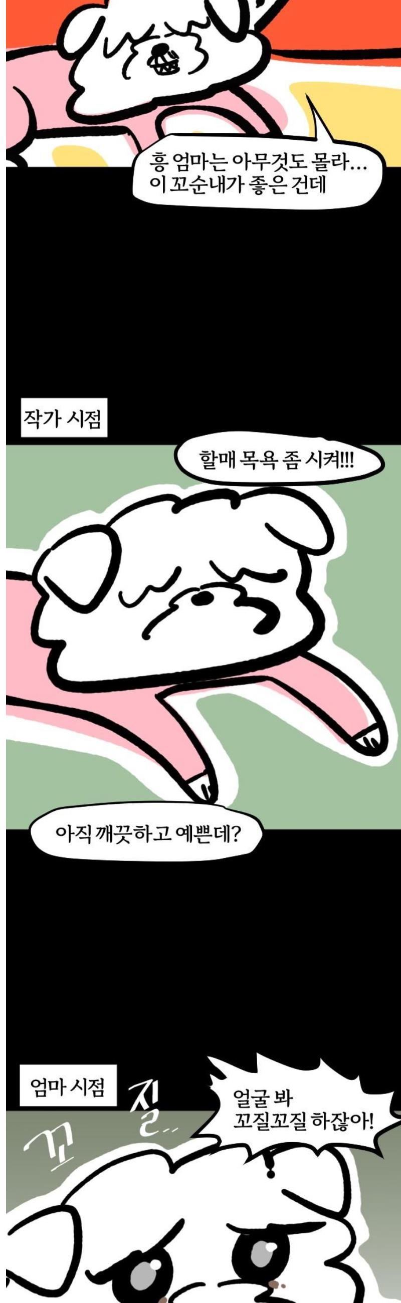 003.jpg