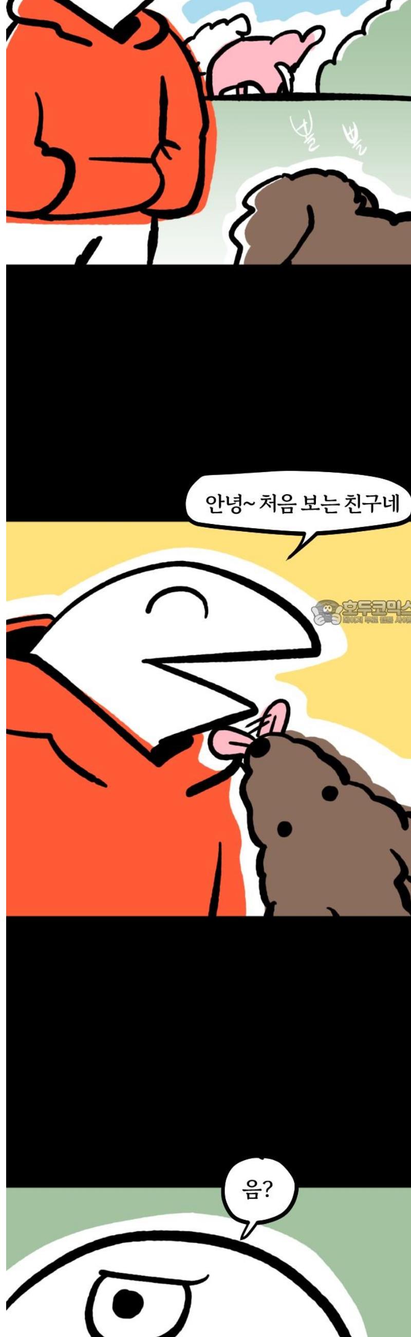 006.jpg