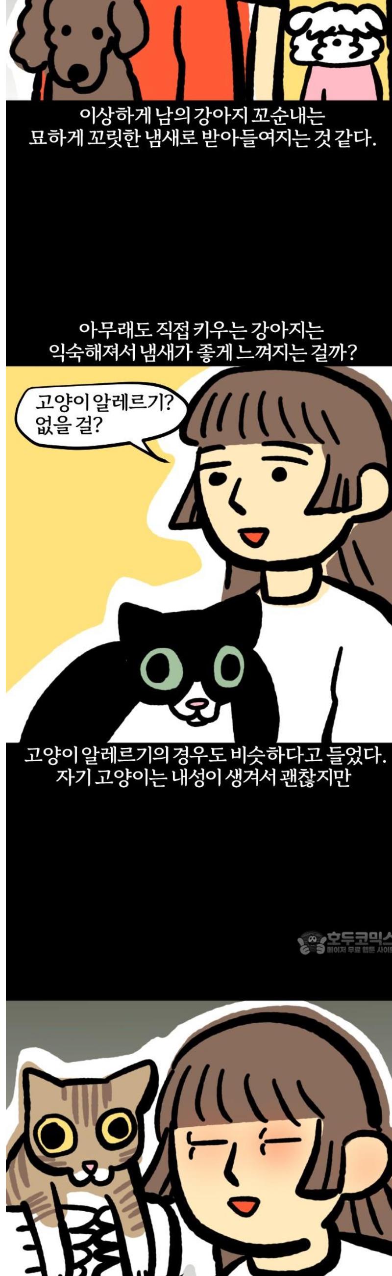 010.jpg
