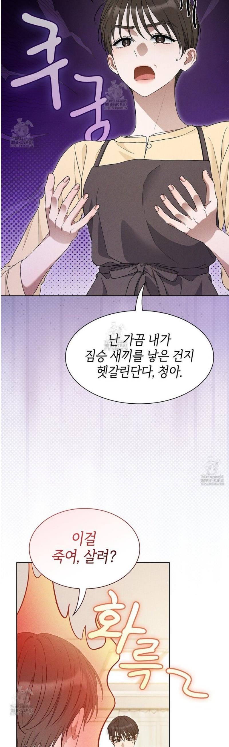005.jpg