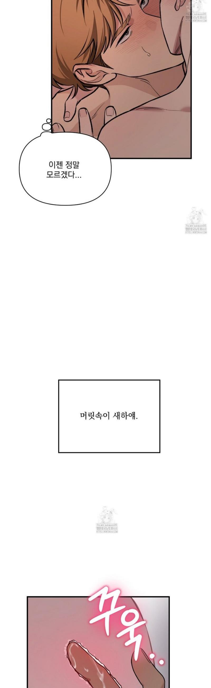008.jpg