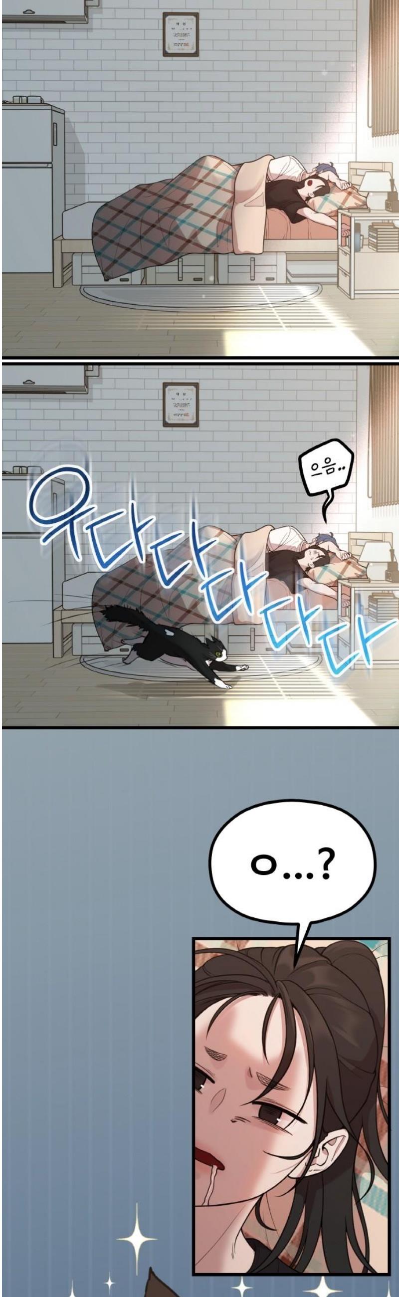 003.jpg