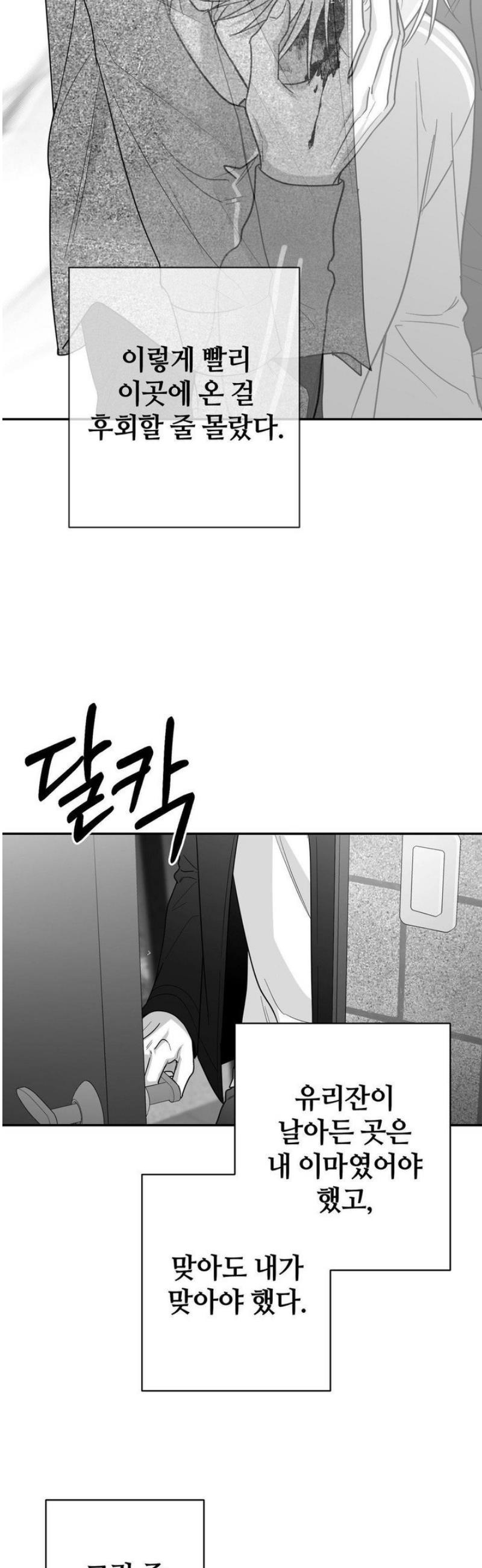 005.jpg