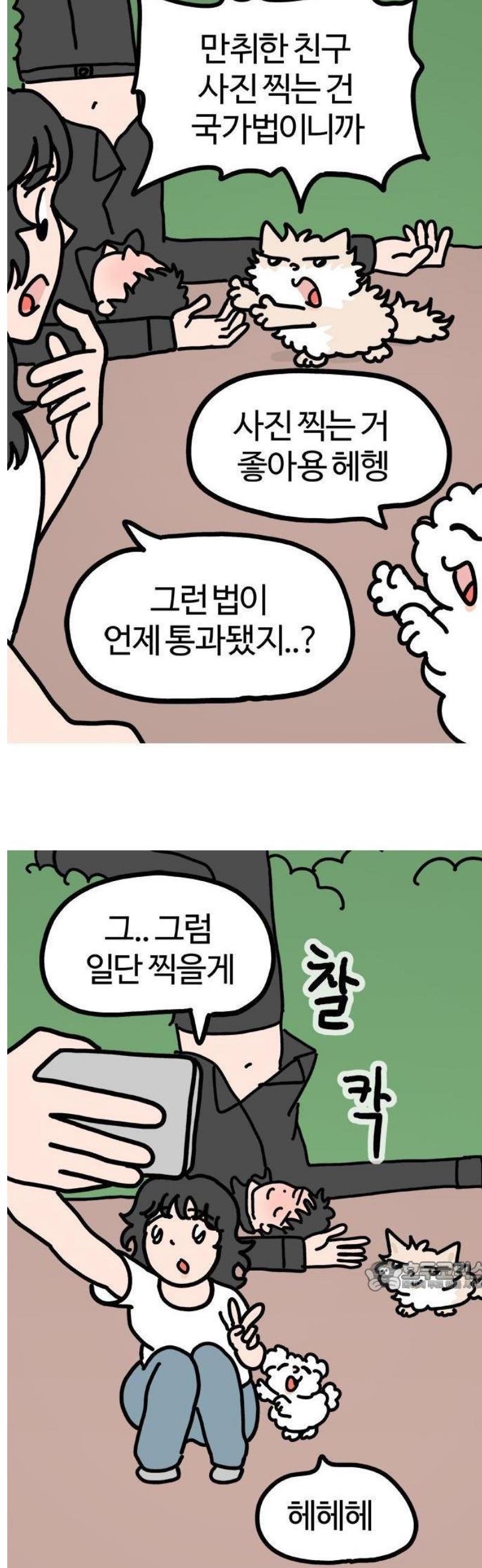 003.jpg