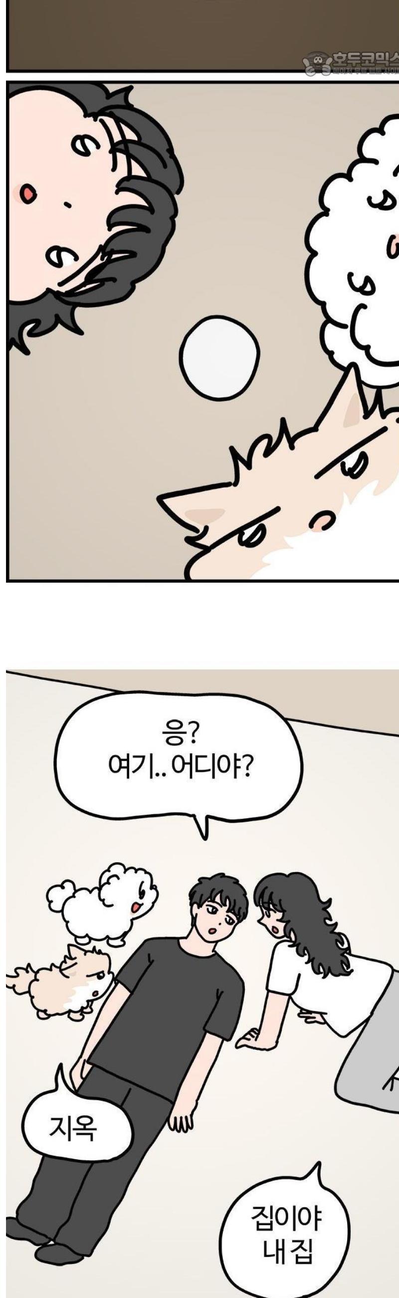 006.jpg