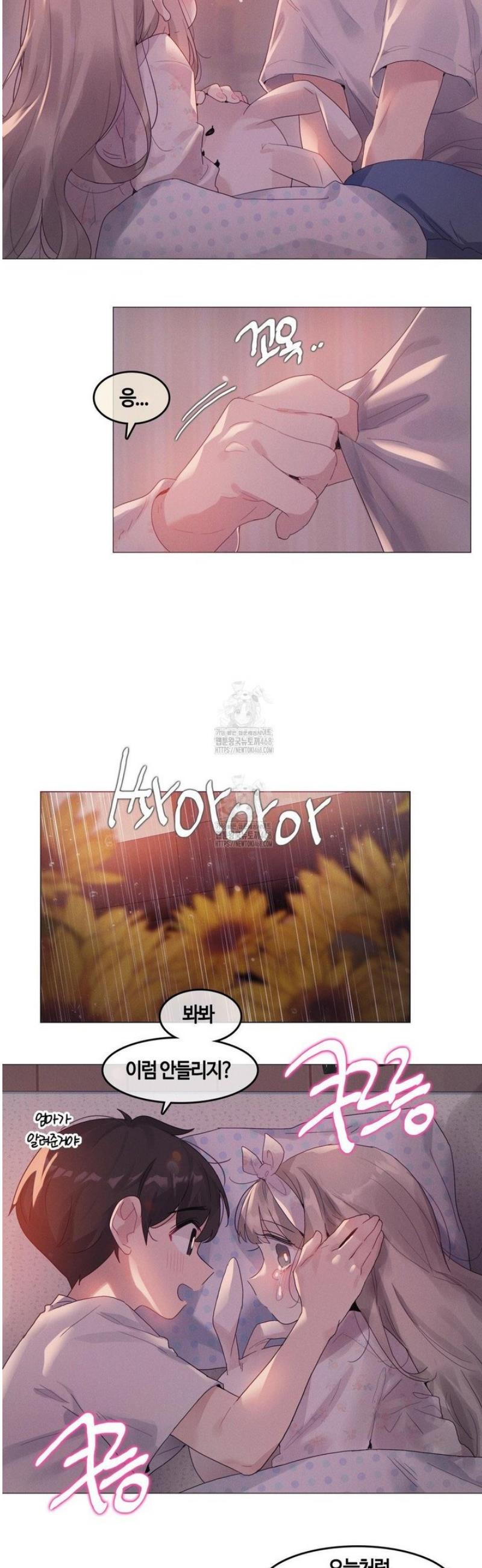 003.jpg