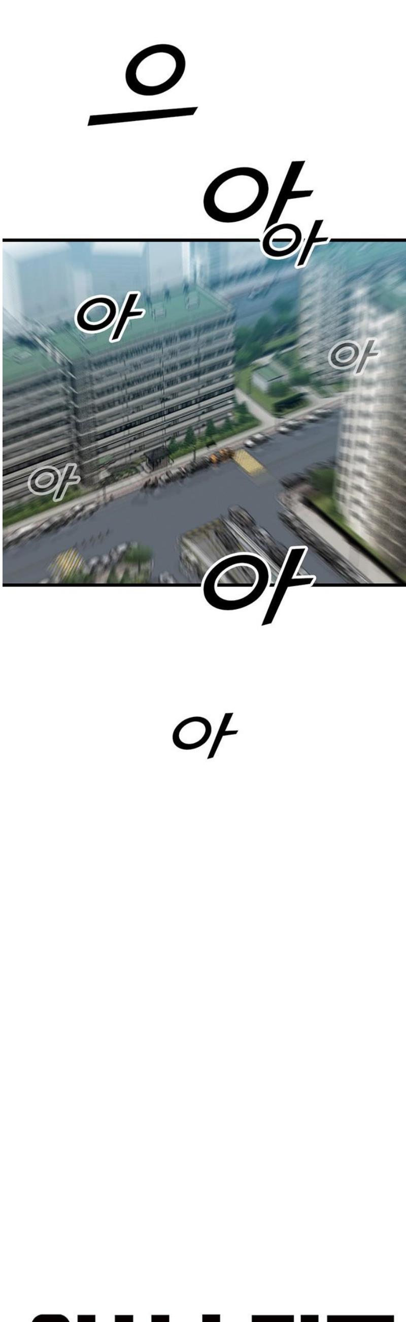 031.jpg