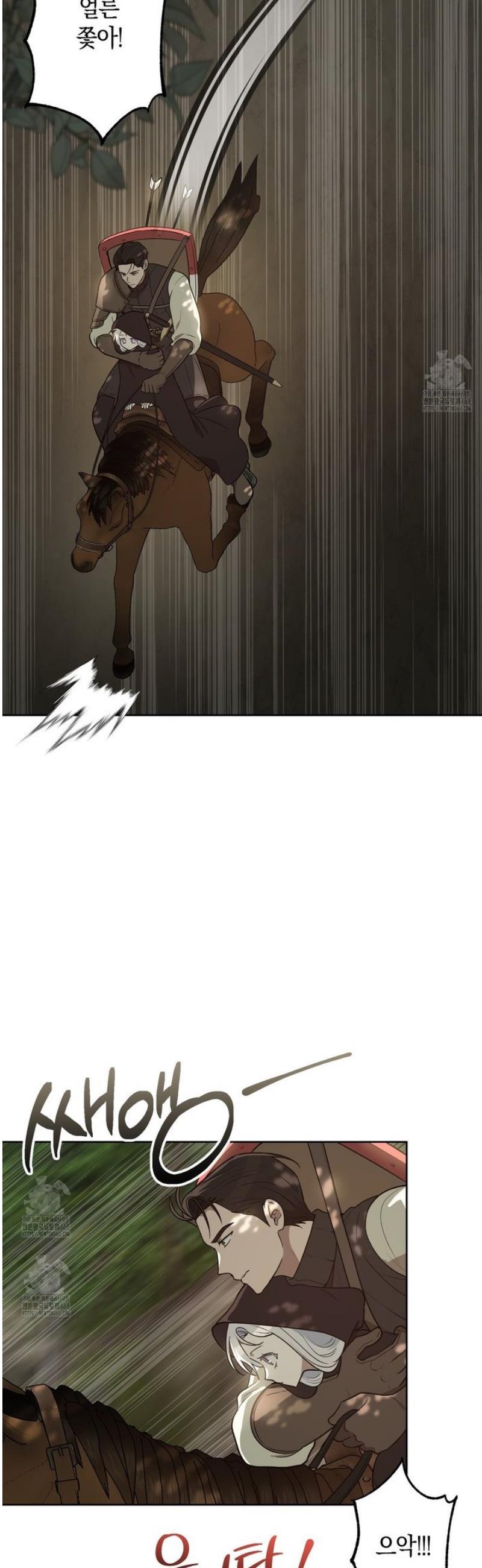 006.jpg