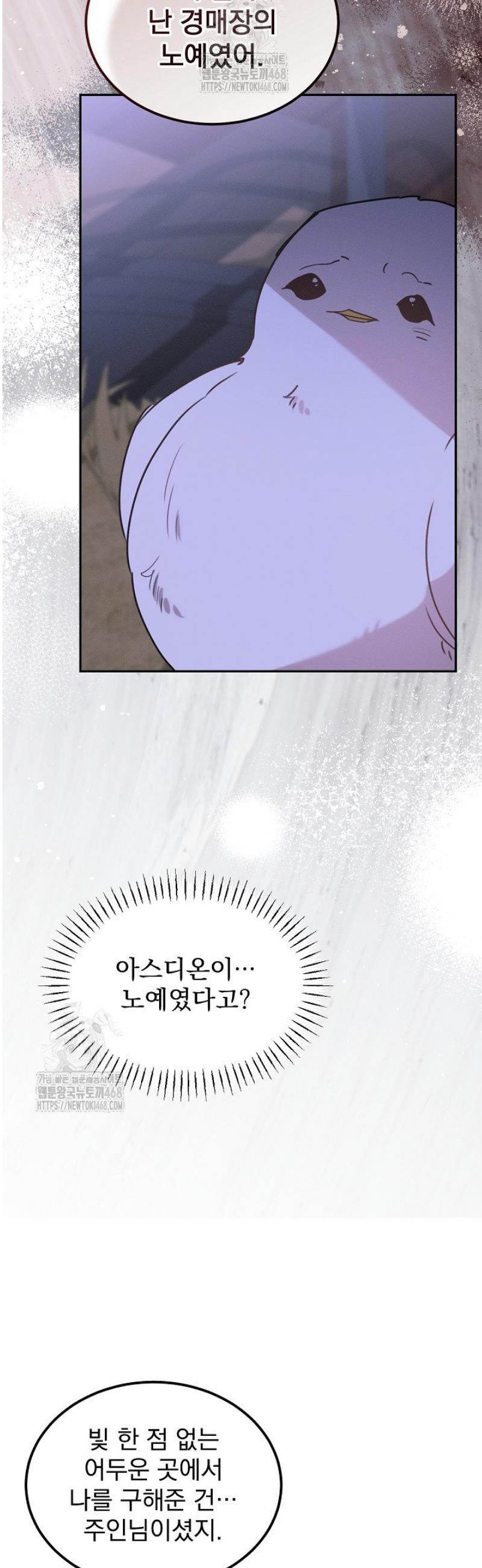 010.jpg