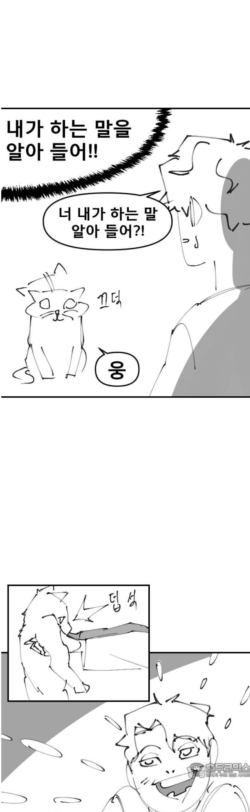 004.jpg