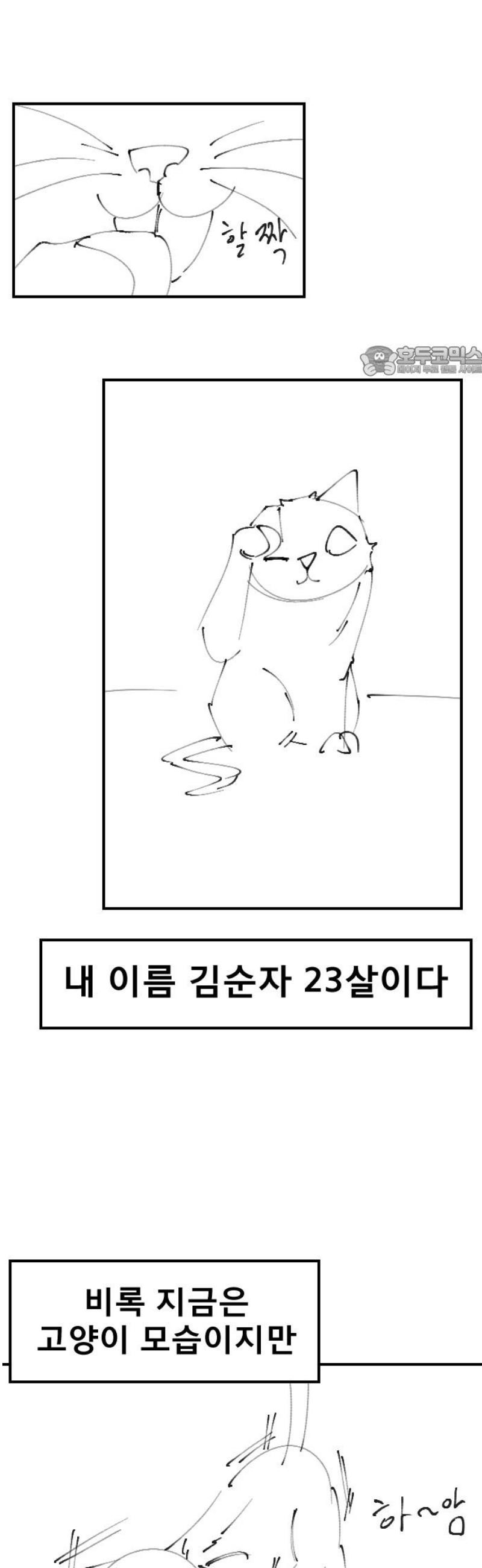 009.jpg