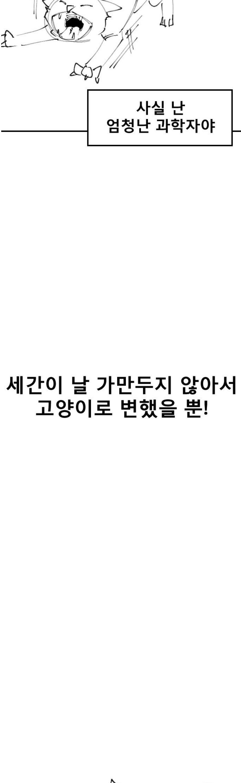 010.jpg